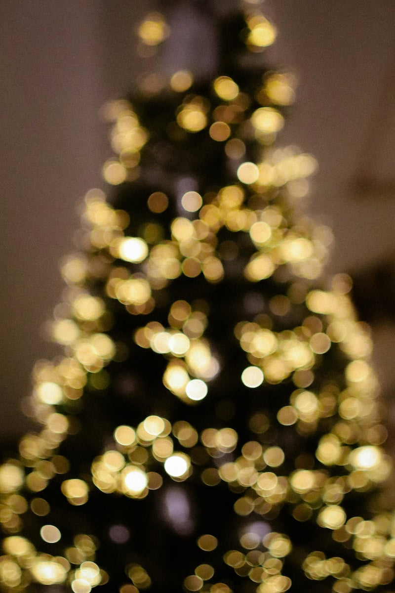 Seasonal closure dates and a Prototypers treat!