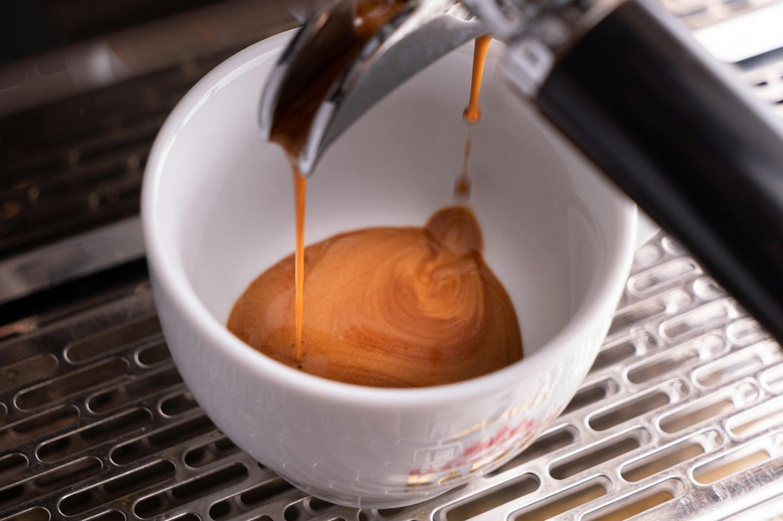 Espresso extraction primer redux...