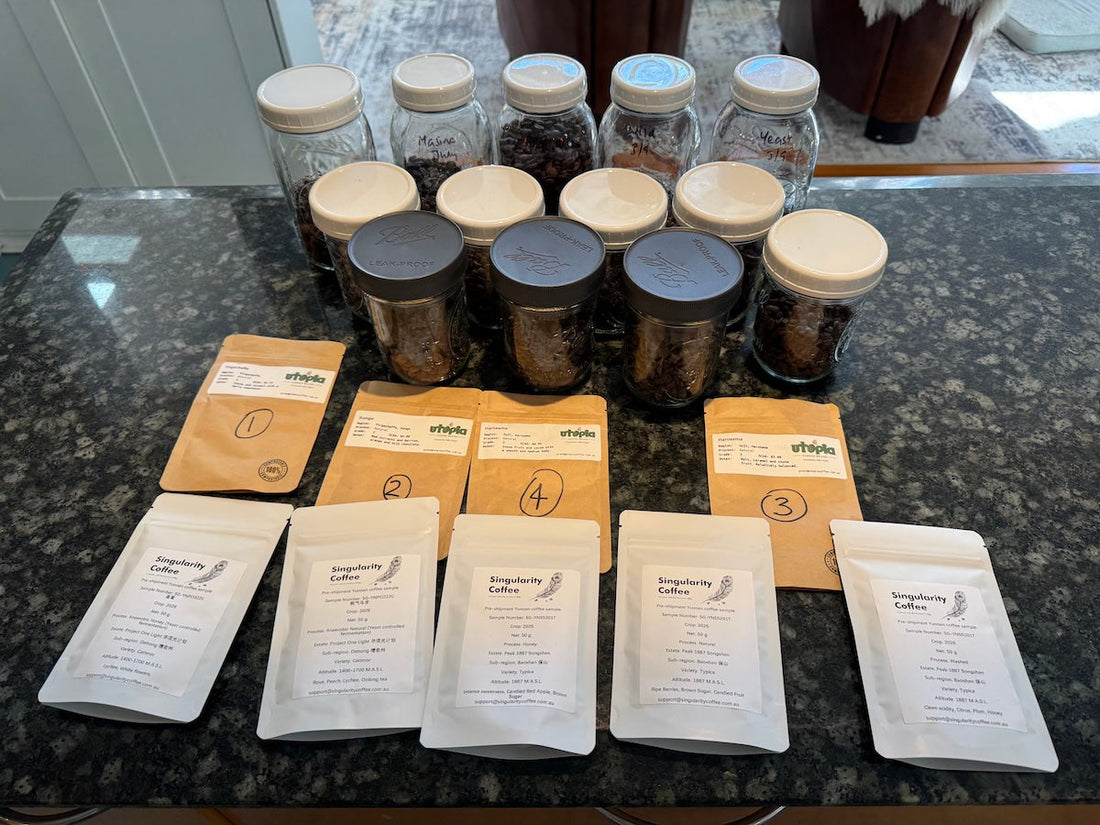 An insane amount of sample roasting...