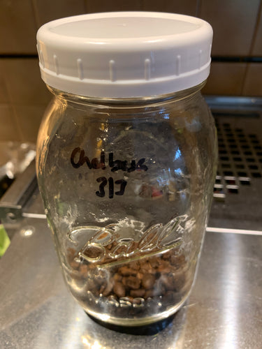 A question about coffee maturity