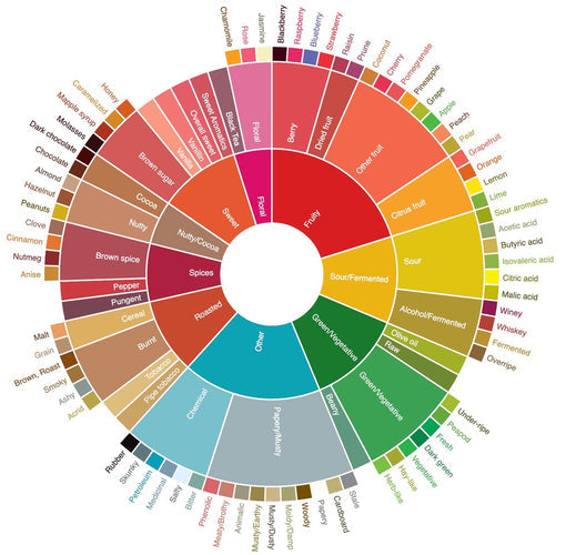 The Coffee Taster's Flavour Wheel