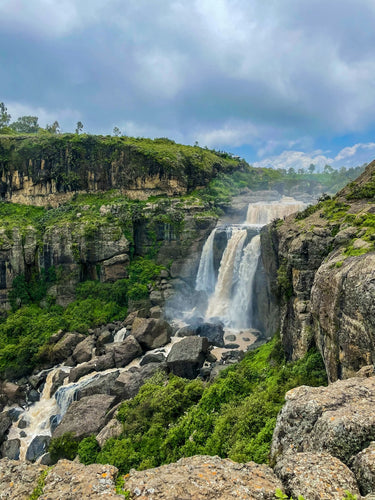 Ethiopia... the cradle of Arabica...