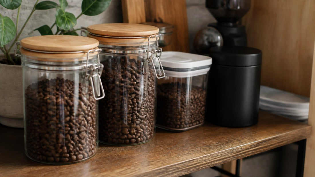 How to Store Coffee Beans Properly: A 2026 Guide