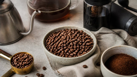 Premium Coffee Beans for Home Baristas: 2026 Guide